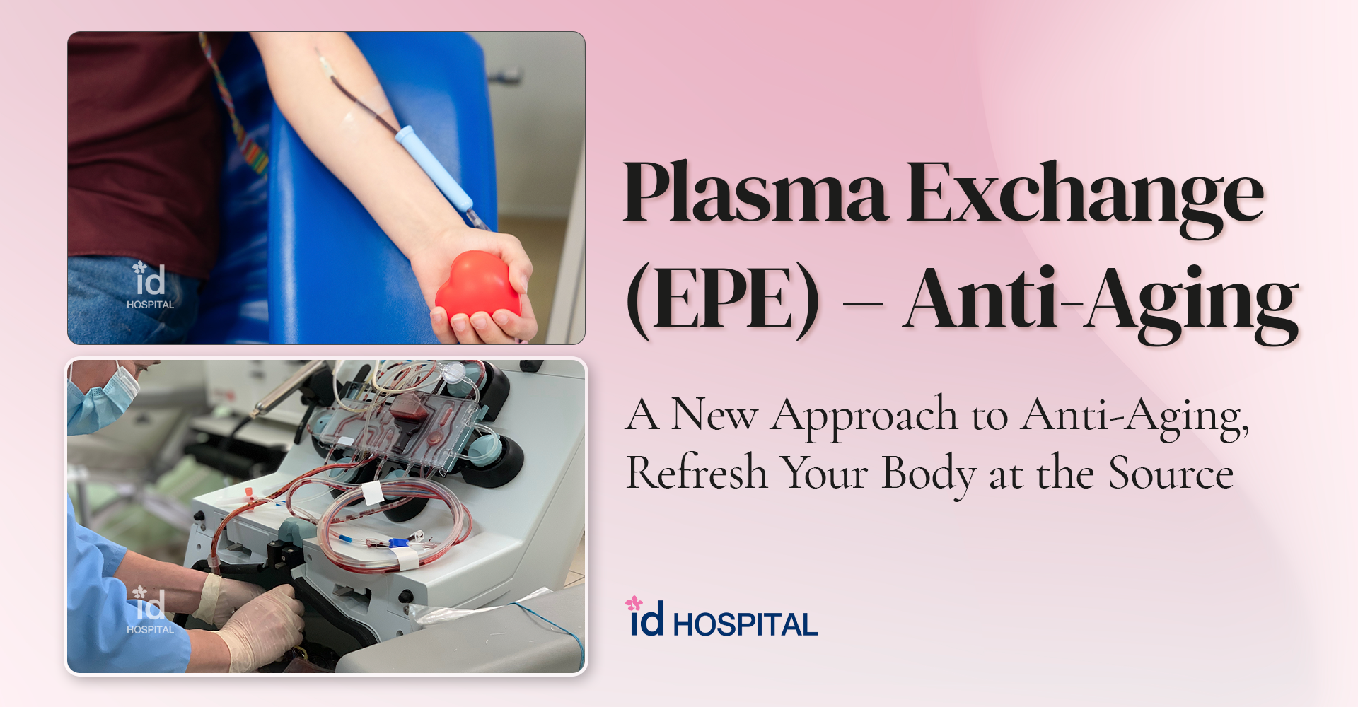 A New Reverse-Aging Solution That Restores the Body’s Natural Recovery Power: Plasma Exchange Therapy (id EPE)